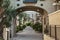 Elegant arched passageway between buildings