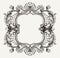 Elegant Baroque Ornate Curves Frame