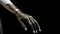 Elegant Bionic Arm close up. Imagine a bionic arm prosthesis that redefines human-machine interaction. Inclusion concept