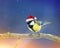 elegant bird in Christmas hat on a festive winter bright background