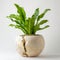 Elegant Birds Nest Fern in a Textured Stone Pot. Generative ai