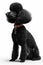 Elegant Black Poodle Portrait Isolated on White. Generative ai