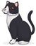 Elegant black and white cat seated, Vector illustration