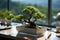 Elegant bonsai tree serving as tranquil office decor with a view.