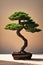 Elegant Bonsai Tree in a Sunlit Room with Trendy Shadows