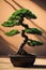 Elegant Bonsai Tree in a Sunlit Room with Trendy Shadows