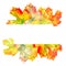 Elegant border frame of fall grape vine leaves. Autumn foliage isolated on white background. Realistic watercolor hand painted