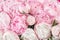 Elegant bouquet of a lot of peonies of pink color close up. Beautiful flower for any holiday. Lots of pretty and