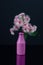 Elegant bouquet of white pink Eucalyptus flowers in a purple bot