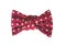 Elegant bow tie for a holiday
