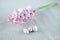 Elegant branch of pink hyacinth and decorative Easter eggs