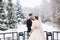 Elegant bride in white fur coat stand with handsome bearded groom in front of snow covered pine trees