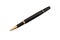 Elegant business black and gold ballpoint pen