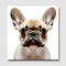 Elegant Canine on a White Background French Bulldog. Generative AI