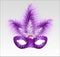 Elegant carnival mask with beautiful feathers.