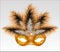 Elegant carnival mask with beautiful feathers.