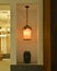 Elegant ceiling lighting,oriental element