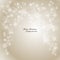 Elegant Christmas background with snowflakes and p