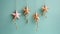 Elegant Christmas Stars Hanging On Teal Background