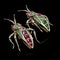 Elegant Cockroach Brooches With Rubies And Emeralds