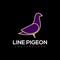 Elegant color line pigeon logo template