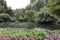 Elegant compositions of plants around an pond in the Butchart Garden on Vancouver Island, British Columbia, Canada