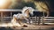 Elegant Cream Horse with Flowing Mane in Equestrian Training Ground. Stallion with Flowing Silver Mane.