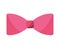 elegant cute bowtie icon