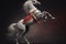 elegant dancing horse with white legs in red collar