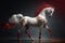 elegant dancing horse with white legs in red collar