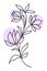 Elegant delicate flower line art, vector illustration.