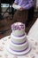 Elegant, delicious and tasty white wedding cake decorated with p