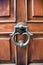 Elegant door and door knocker