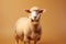 Elegant Dorper sheep on light brown background, space for text