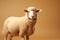 Elegant Dorper sheep on light brown background, space for text
