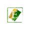 elegant E gold and green splash grunge alphabet logo letter