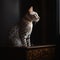 Elegant Egyptian Mau Cat on High Perch