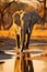 An elegant elephant in the heart of an African savannah