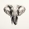 Elegant Elephant Portrait: Detailed Illustration With Strong Facial Expression