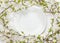 Elegant empty plate among blooming (flowering) tree branches on white