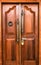 Elegant entrance doors