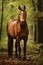 Elegant Equine: A Top-Rated Half Body Portrait in the Woods