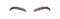 Elegant female eyebrows shape. Brow master logo. Permanent make-up and microblading. Linear vector Illustration in