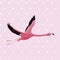 elegant flamingo bird flying dotted background