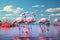 Elegant flamingos in serene and ancient lagoons oc