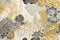 Elegant Floral Harmony: Golden, Grey, and White Wallpaper