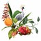 Elegant floral and zoo composition. A print for a t-shirt. Tropical orchid flowers, fruits and exotic bird.