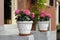 Elegant flower pots framing house entrance