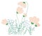 Elegant Flowers Pastel Colors Simple Shapes Hand Drawing