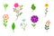 Elegant flowers. Tulip, lily, iris, berries, leaves, branches. Decorative floral elements for your invitation or postcard design.